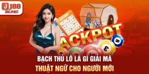 Bạch Thủ Lô Là Gì - Giải Mã Thuật Ngữ Cho Người Mới